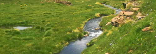 Natural Habitat of Maloti Minnow at Shlabathebe National Park